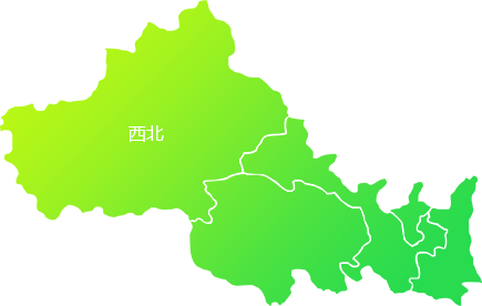 PG电子市场调研