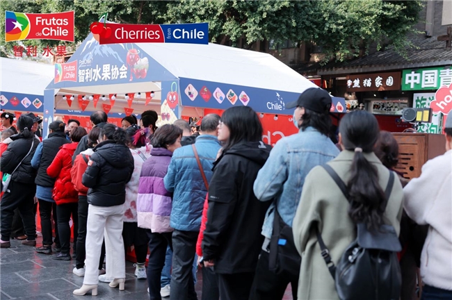 “智利车厘子公仔”惊艳亮相成都二、三线城市车厘子增量持续爆发(图2)