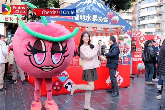 “智利车厘子公仔”惊艳亮相成都二、三线城市车厘子增量持续爆发(图5)