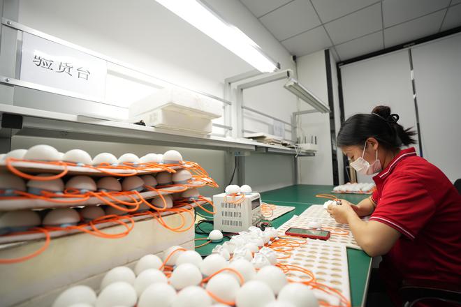 当消费遇上AI｜火爆的AI玩具：百亿赛道之下的突破和挑战(图1)