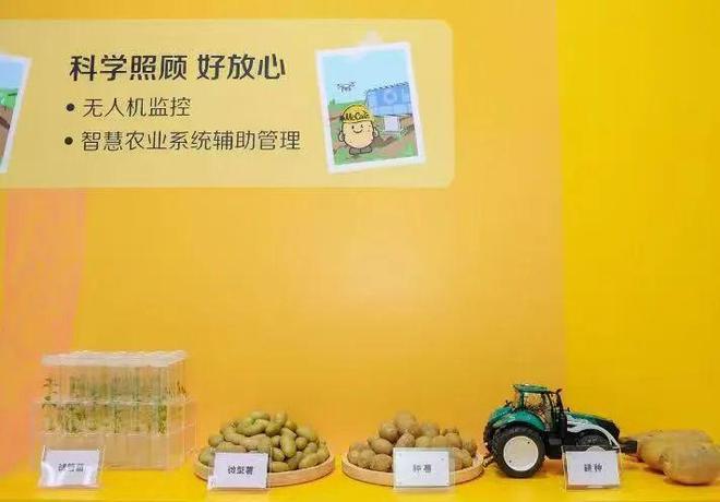 “麦链宇宙”：成年人的快乐从一根薯条开始(图8)