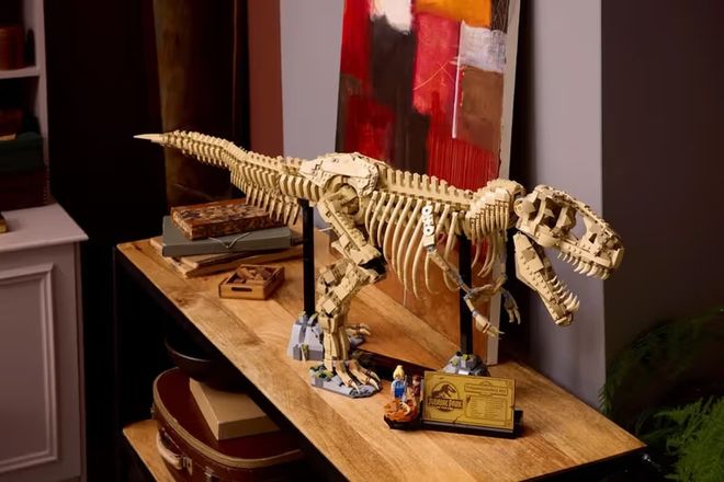 积木、赛车与跨界狂想：LEGO 潮流野心不停(图16)