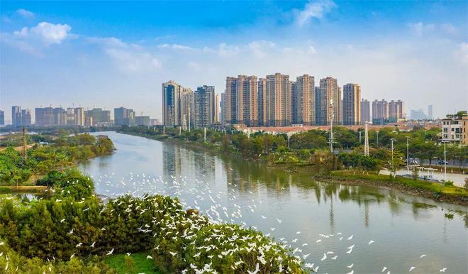 25000份20元消费券！满2001-元！速抢→佛山早班车(图2)